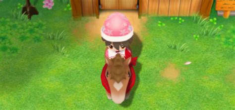 story of seasons friends of mineral town horse|SoS: FoMT Horse Guide (Getting a Horse + How To .